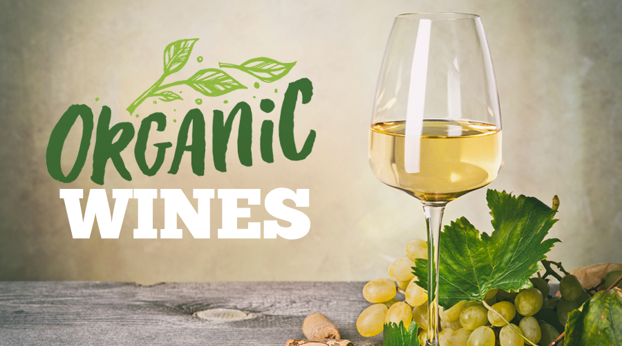 organic-wine-what-is-it-aaaaa-private-home-health-care-aaaaa