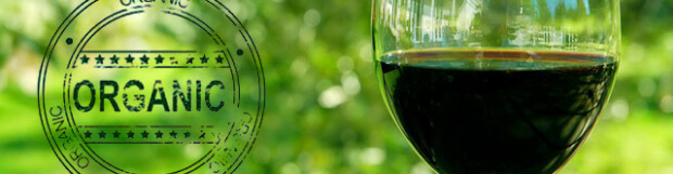 Why Drink Organic Wine?