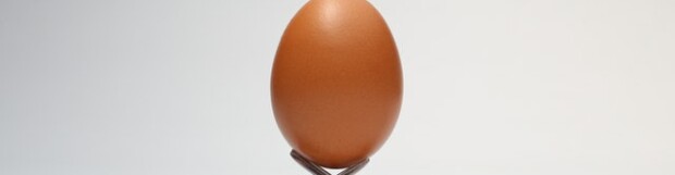 Eggs – A Nutritional Powerhouse!