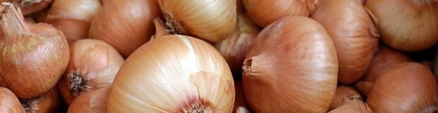 Onions – A Nutritional Powerhouse!