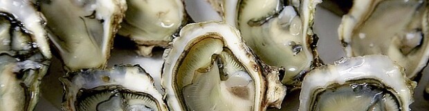 Oysters are a Nutritional Powerhouse!