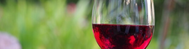 Health Benefits of Wine!